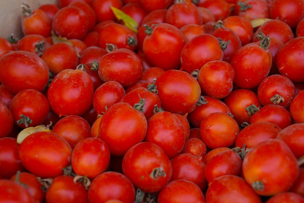 Domus Agricolae Corallina ตอร์เรเดลเกรโค ภายนอก รูปภาพ