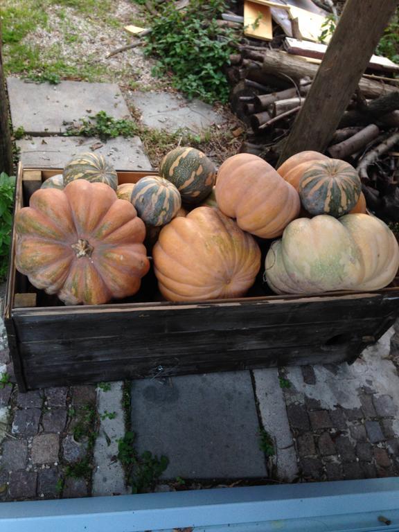 Domus Agricolae Corallina ตอร์เรเดลเกรโค ภายนอก รูปภาพ